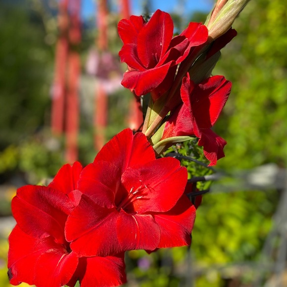 Meet the Posher Kasia - Picture 12 of 16